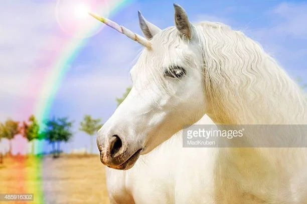 Photo by MadKruben/iStock / Getty Images