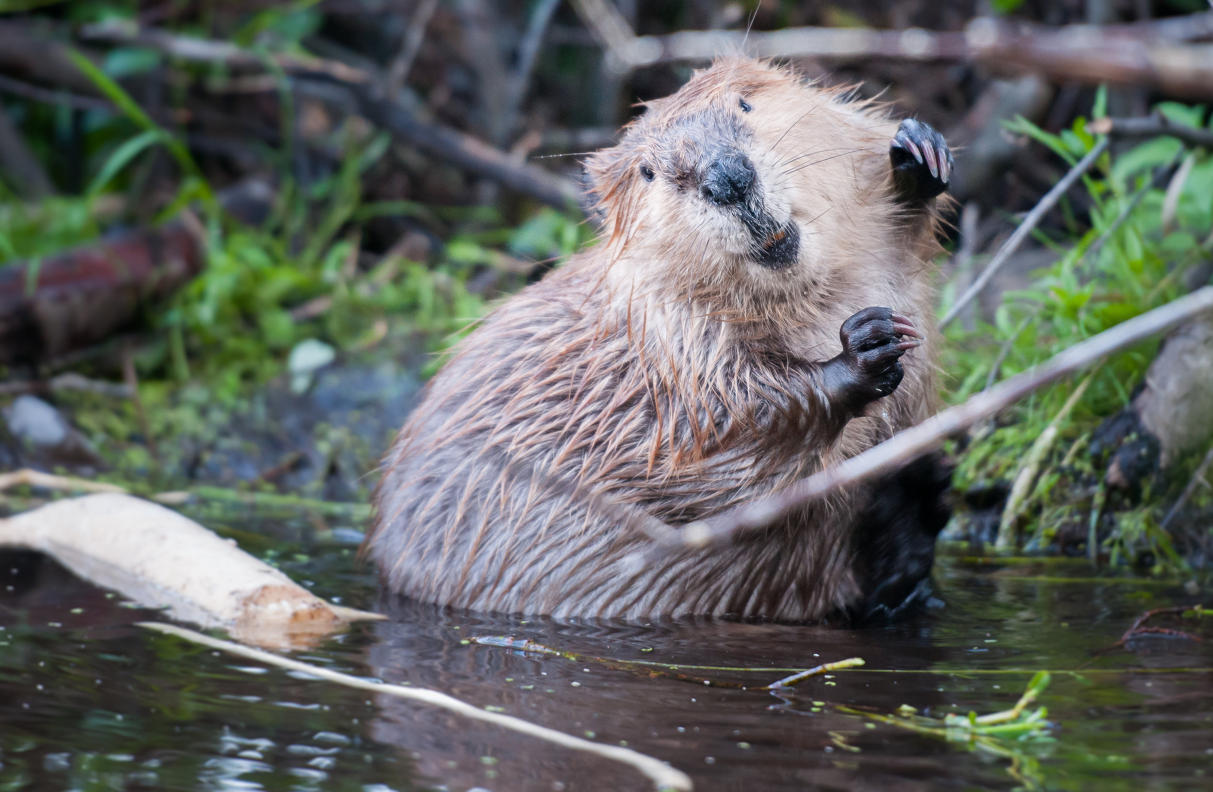Photo by Jillian Cooper/iStock / Getty Images