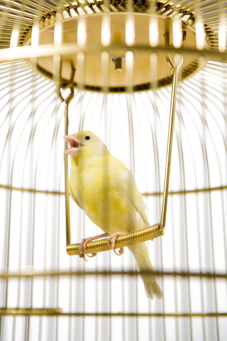 download (74).png