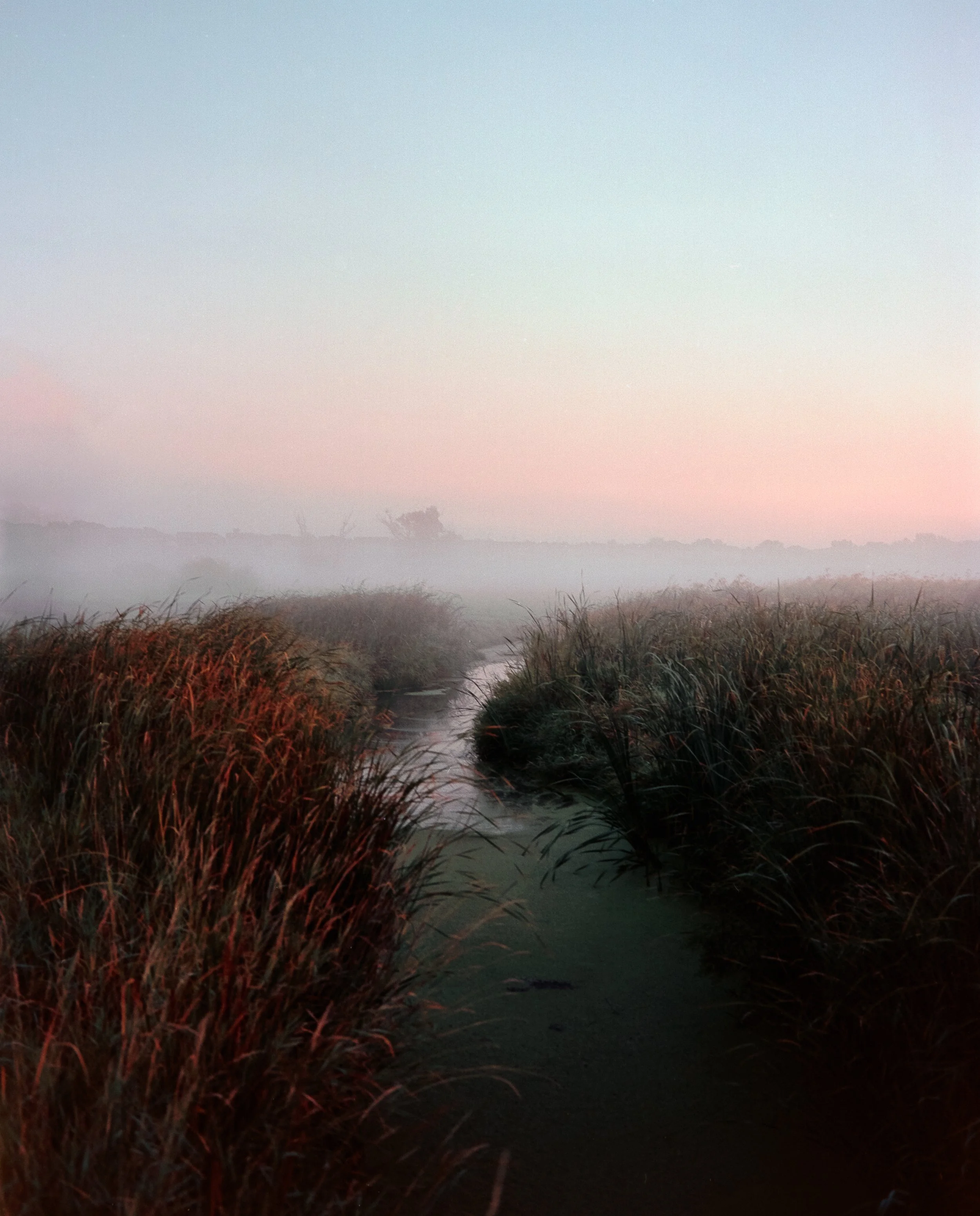SSP_2261-positive-2-Edit.jpg