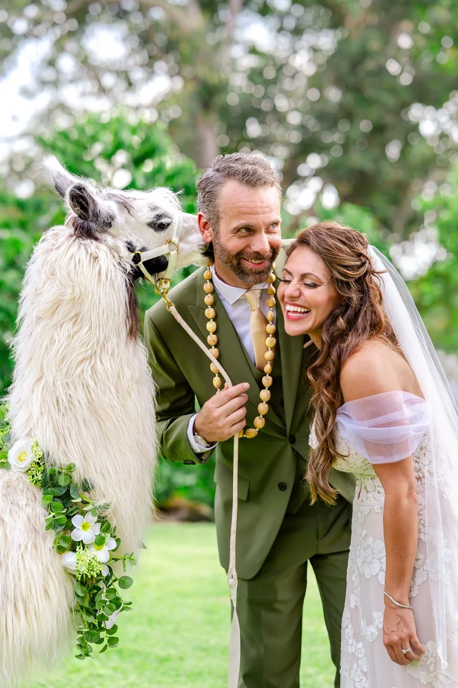 A couple in wedding attire smiling with a llama wearing floral decorations.