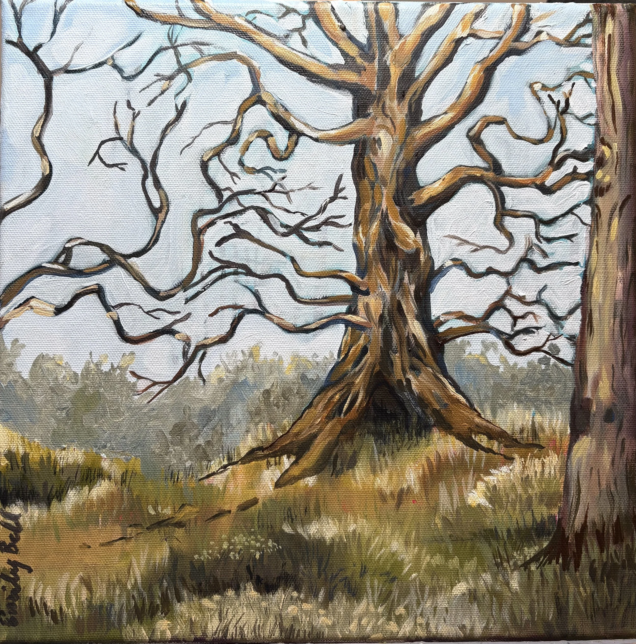 Oaks (Copy)