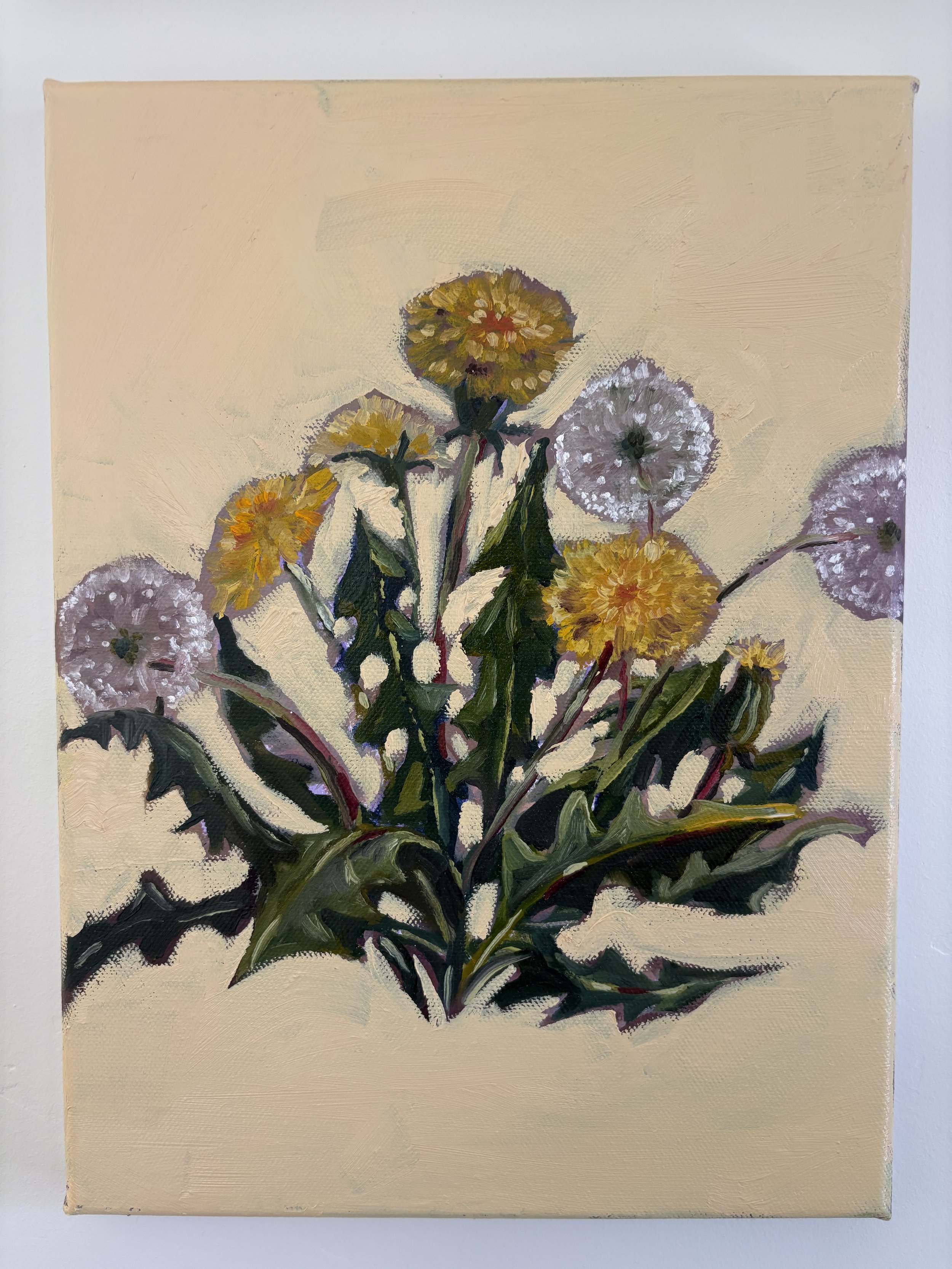 Dandelion Study (Copy)