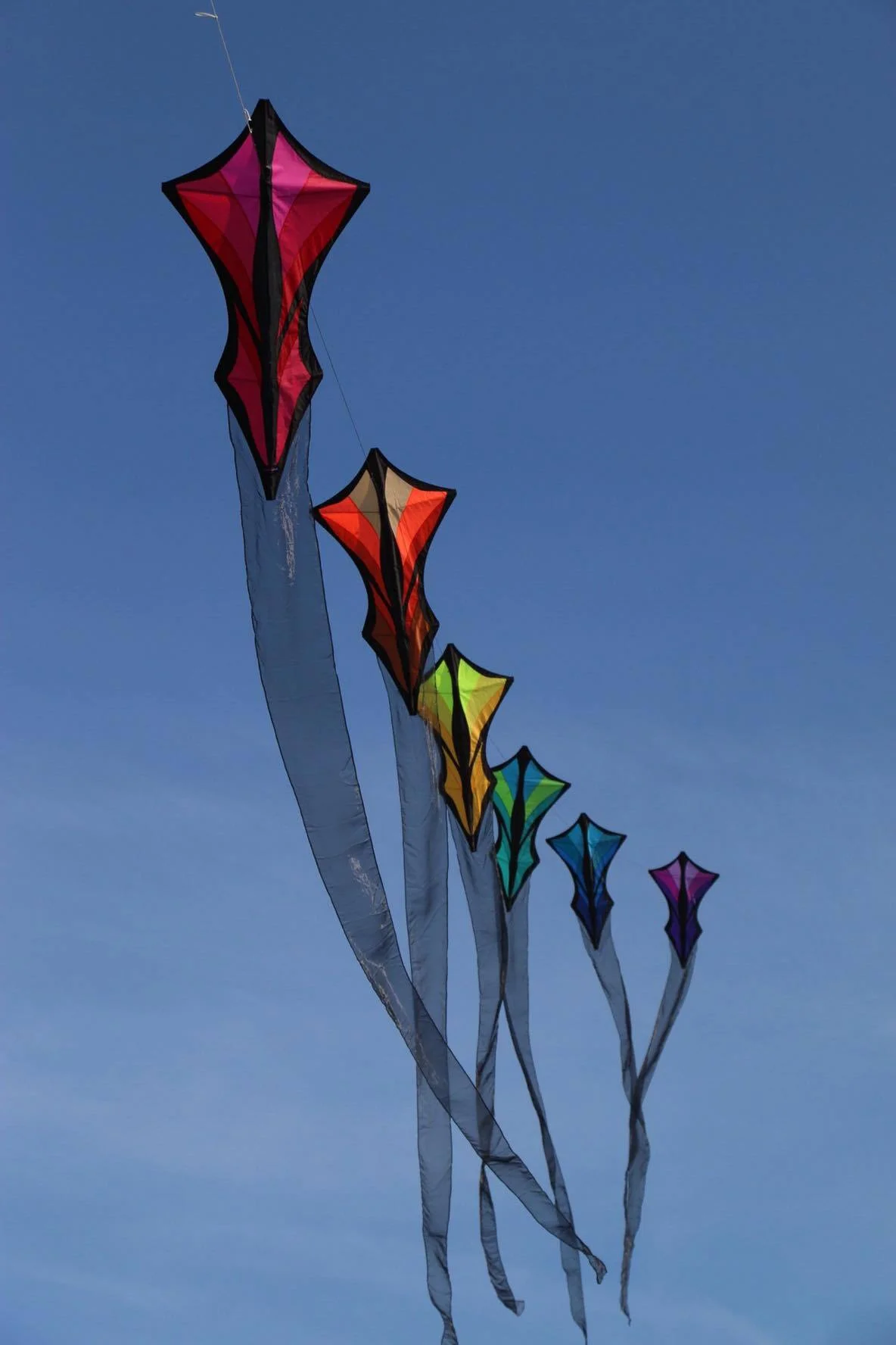 Great Turtle toys has one of the largest selections of kites and accessories in the midwest. Shop for kites at our Mackinac Island store, or choose from a limited selection in our online store.