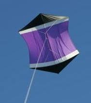 purple-rok-gomberg.jpg