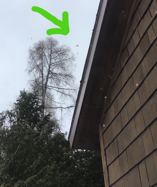 The 16 ft kite looks tiny at 1000 feet in the air!