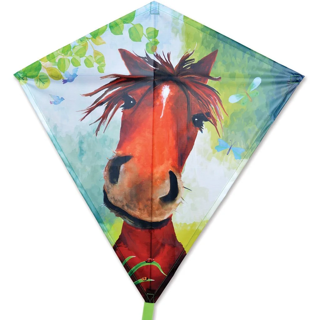 horace-horse-diamond-kite.jpg (Copy)
