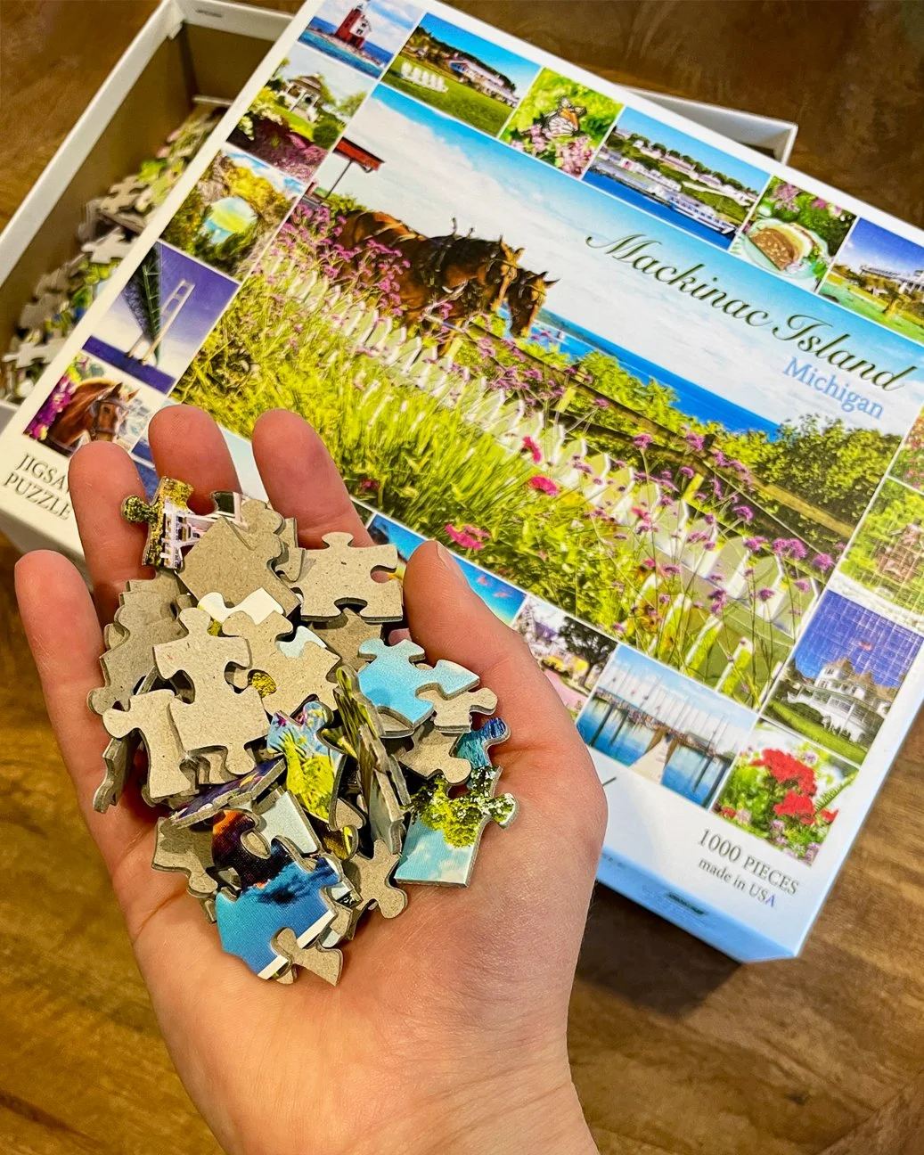 insta.puzzle.iconic scenes of Mackinac Island.img_9584.jpg