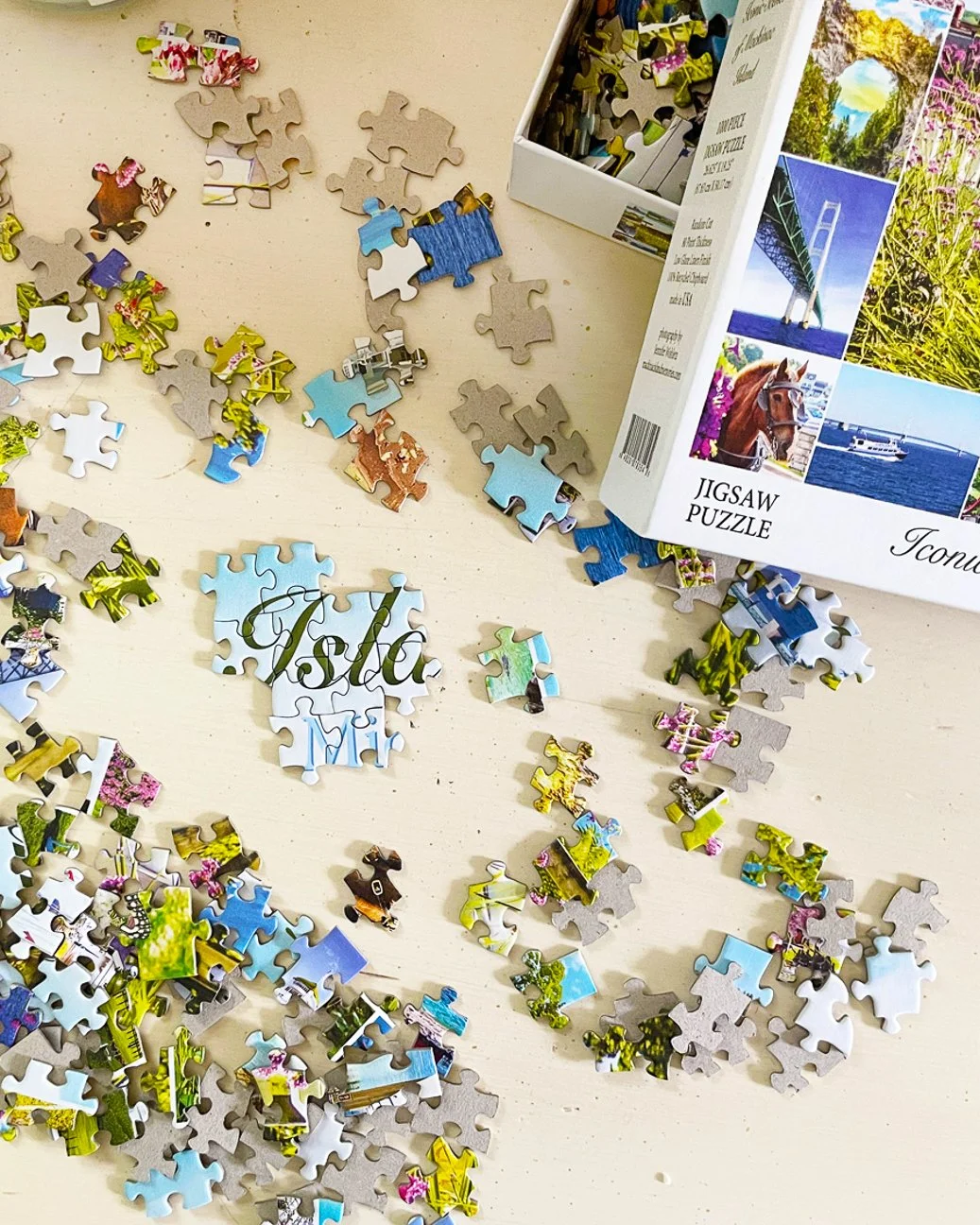 insta.puzzle.iconic scenes of Mackinac Island.img_9580.jpg