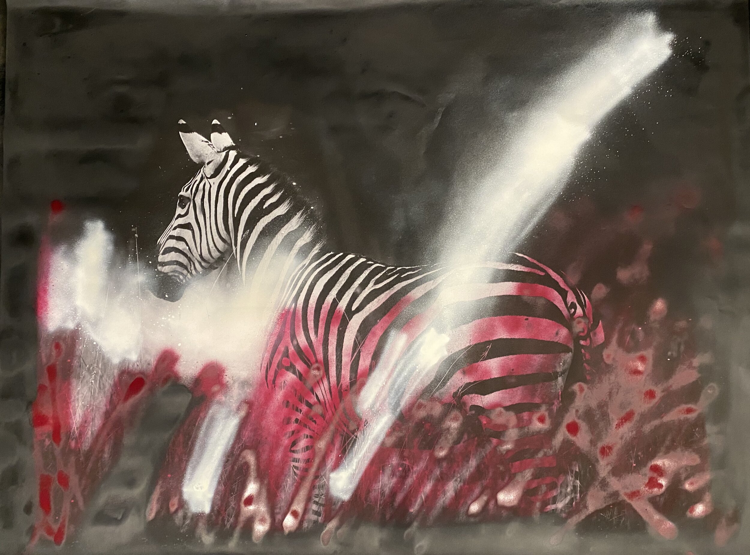 Lighted Zebra.JPG