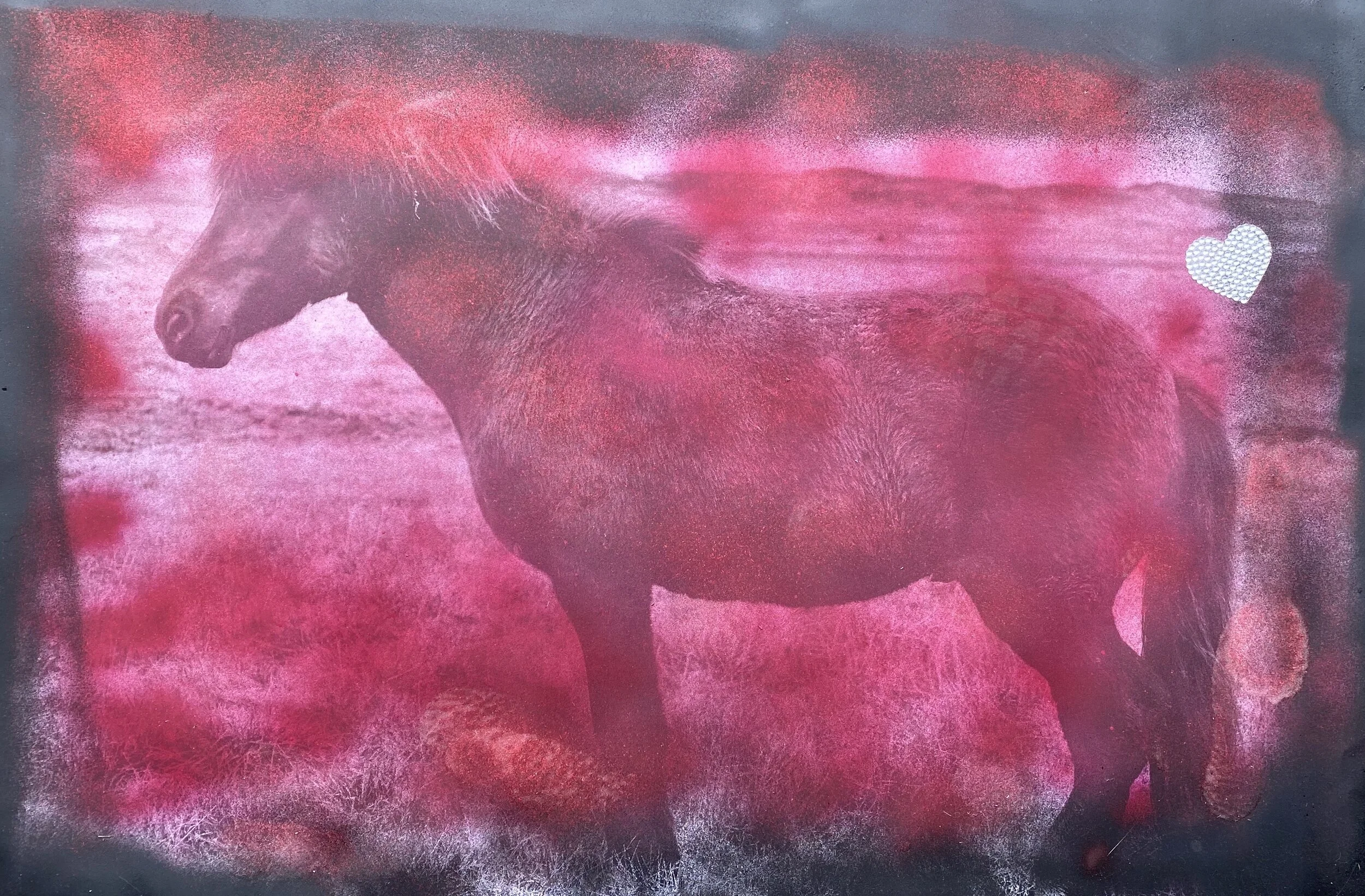 Magenta Horse.JPG
