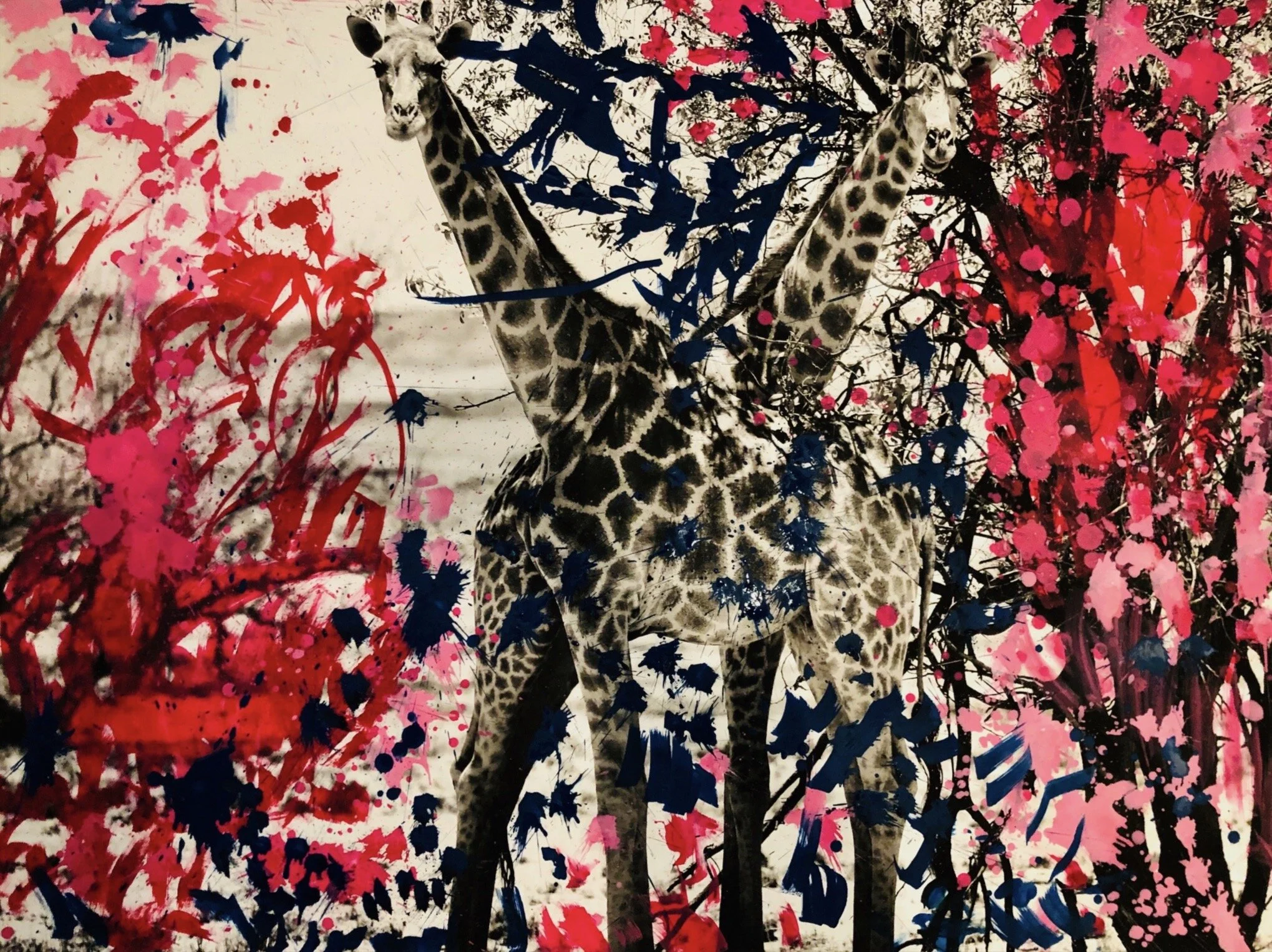 Screen Shot 2020-10-05 at 3.19.43 PM.jpeg