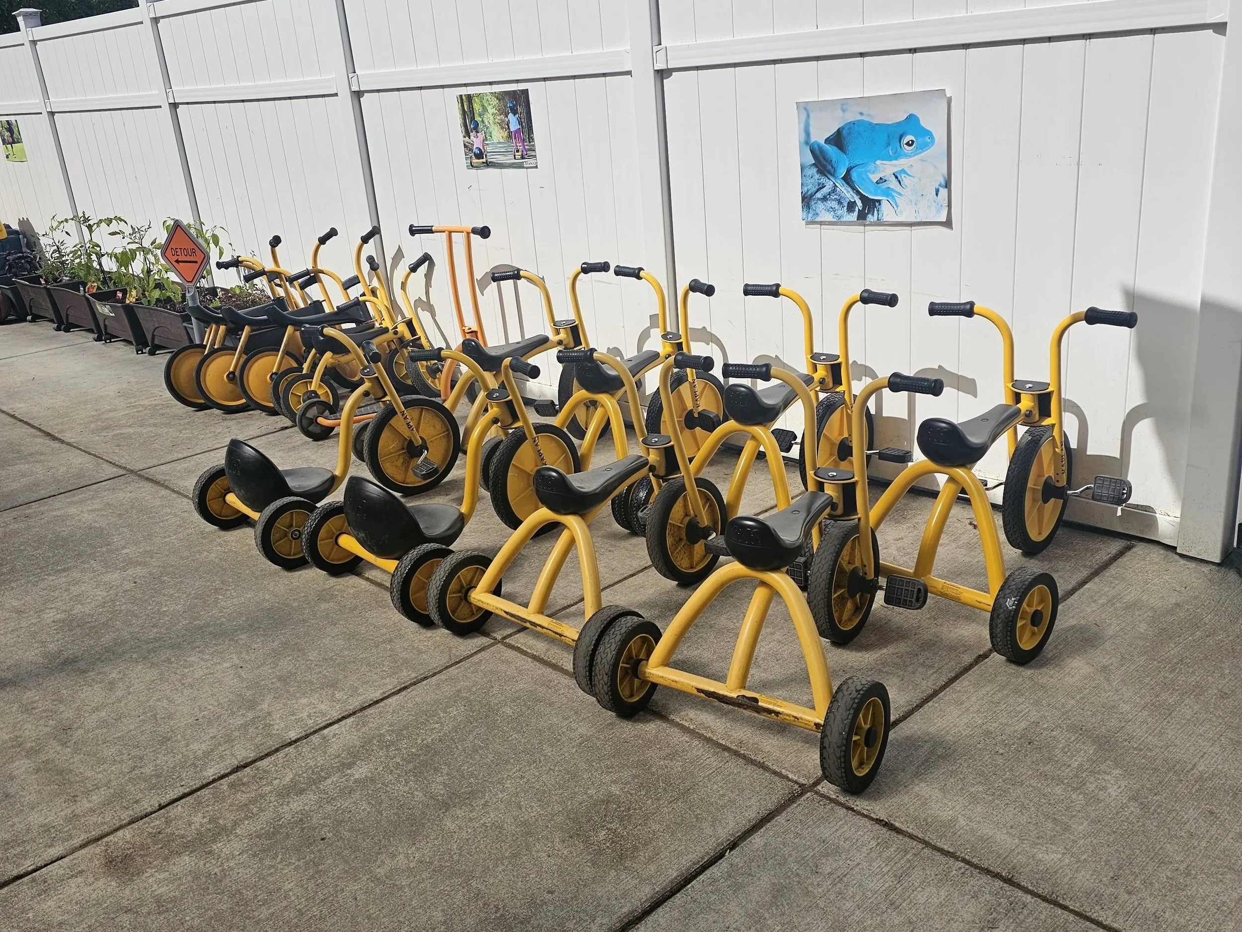 A row of yellow children's tricycles parked on a sidewalk in front of a white fence with pictures on it, surrounded by green trees under a blue sky.