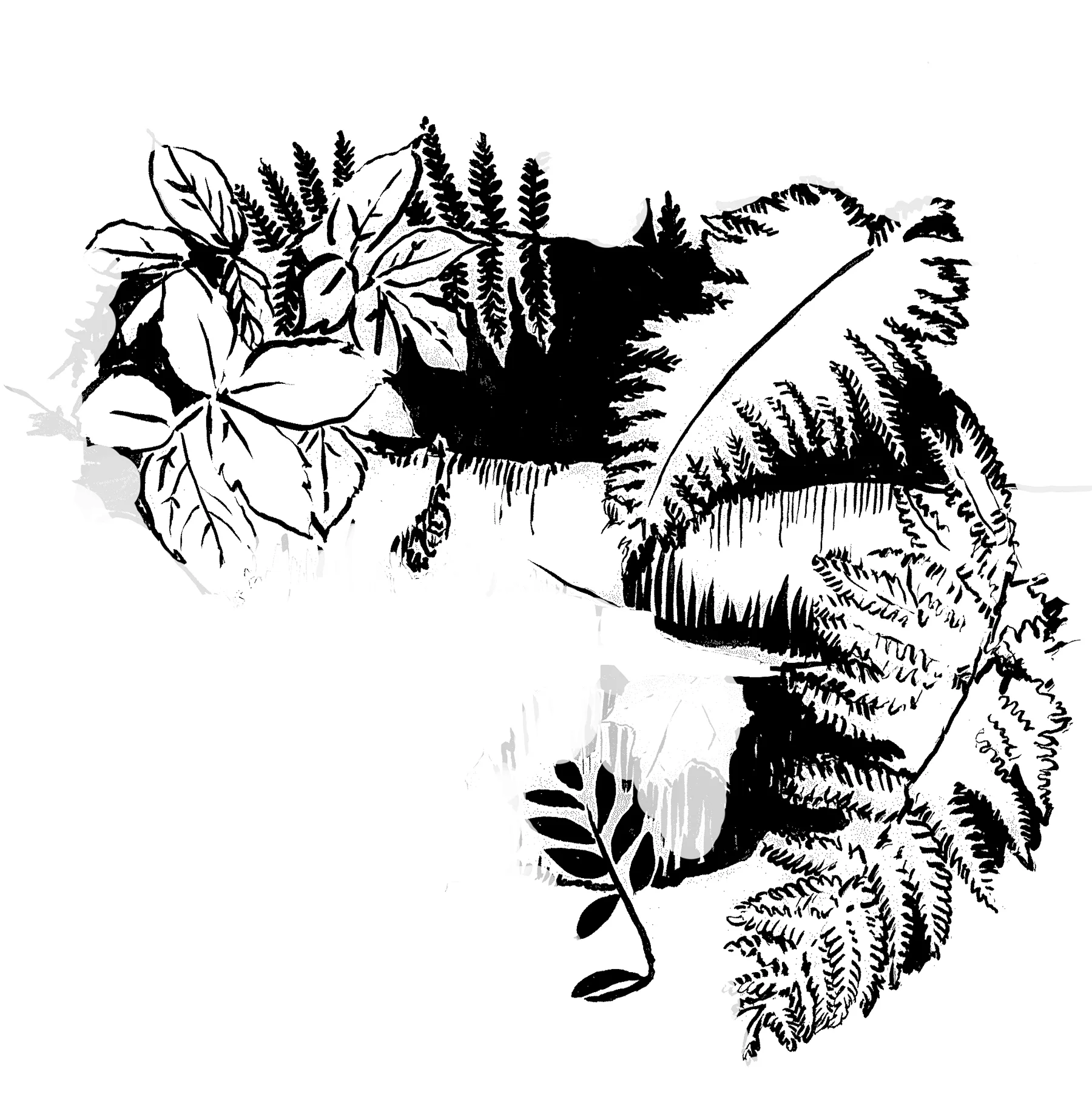 fern floor.jpg