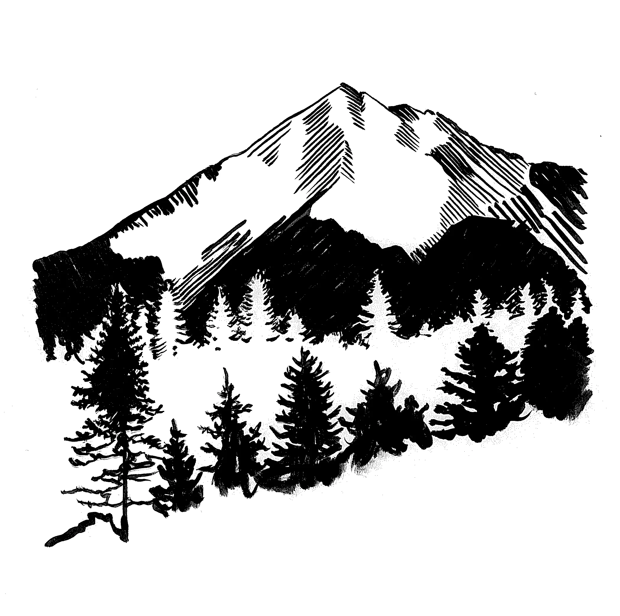 mount hood.jpg