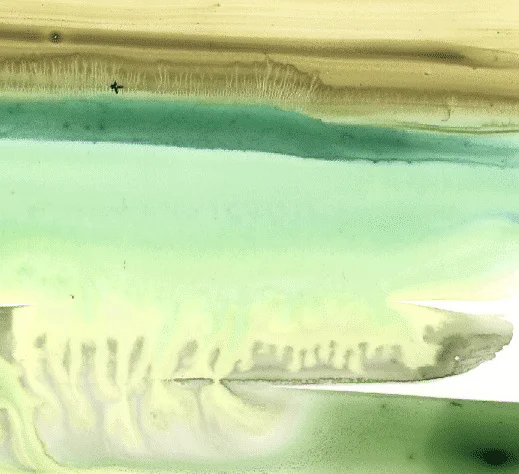 mint.gif