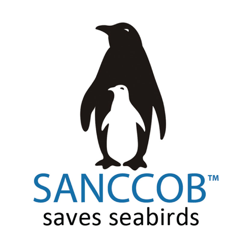 sanccob.jpg