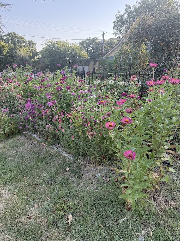 Garden on Bridge.jpg