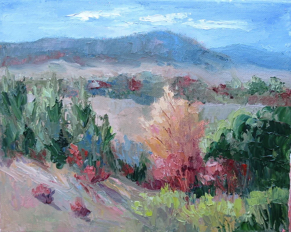 Overlooking Comanche Peak