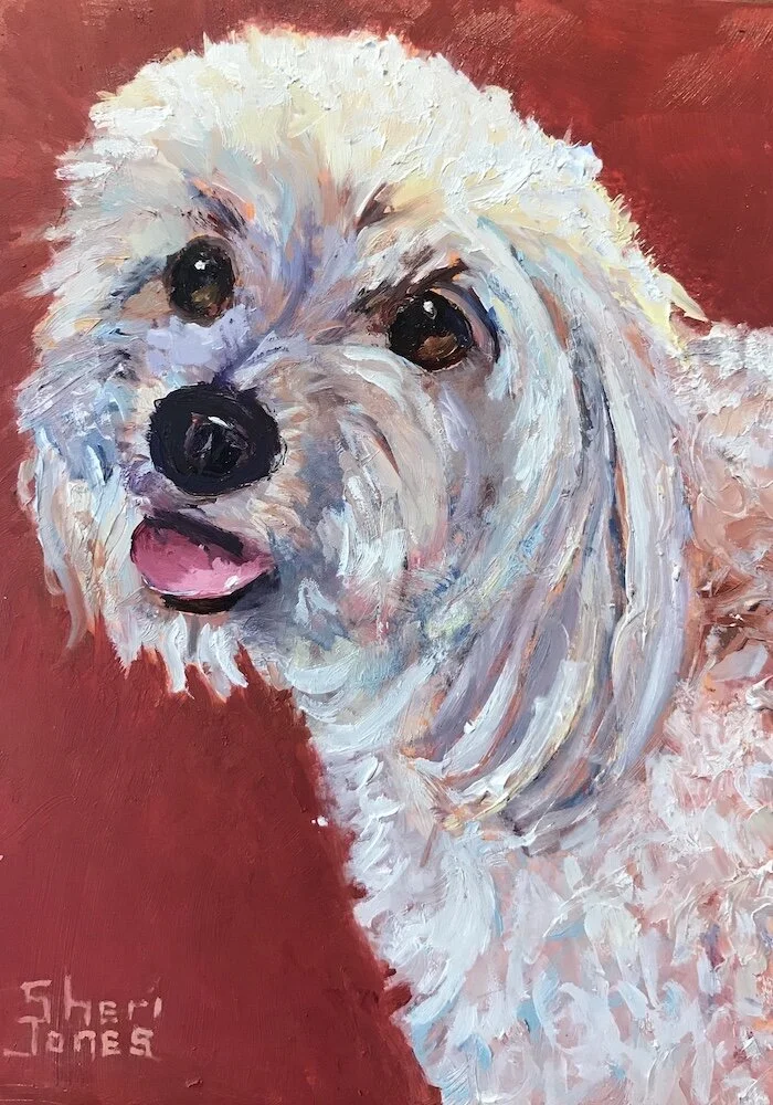 Cocoa