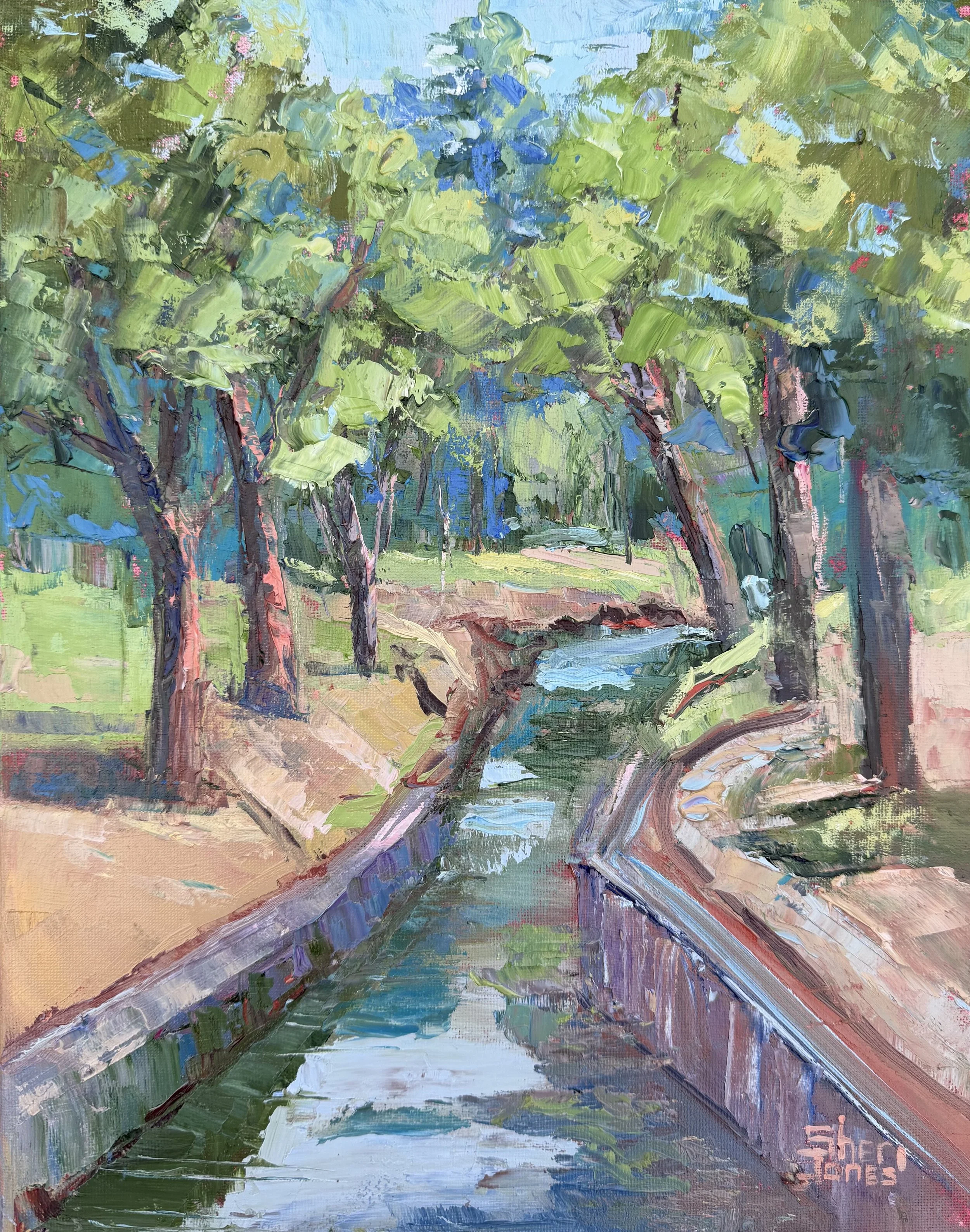 Shanley Park in Paint 14x11 oil on canvas Sheri Jones.jpg