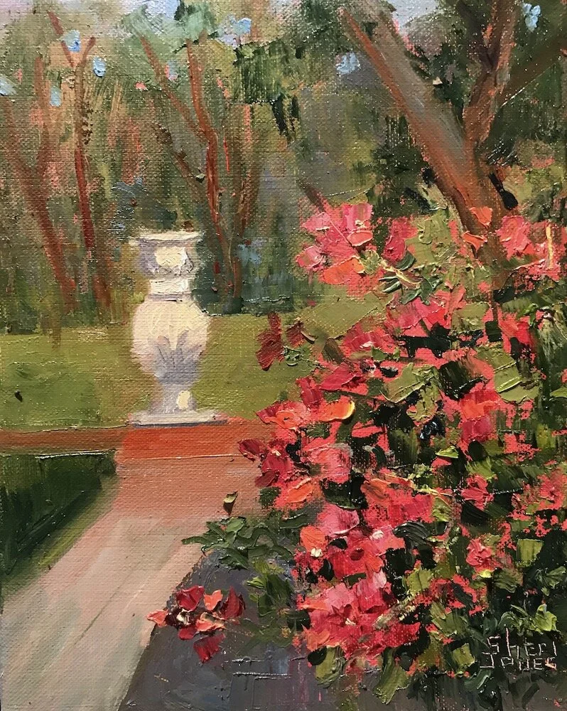 Bougainvillea