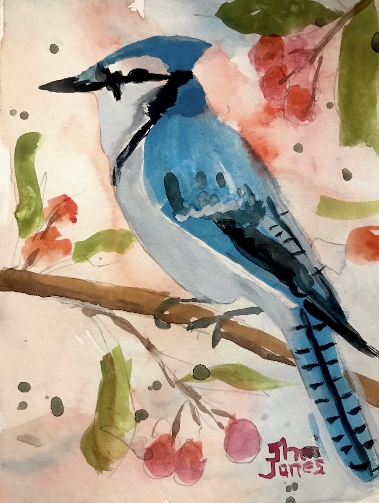 Blue Jay