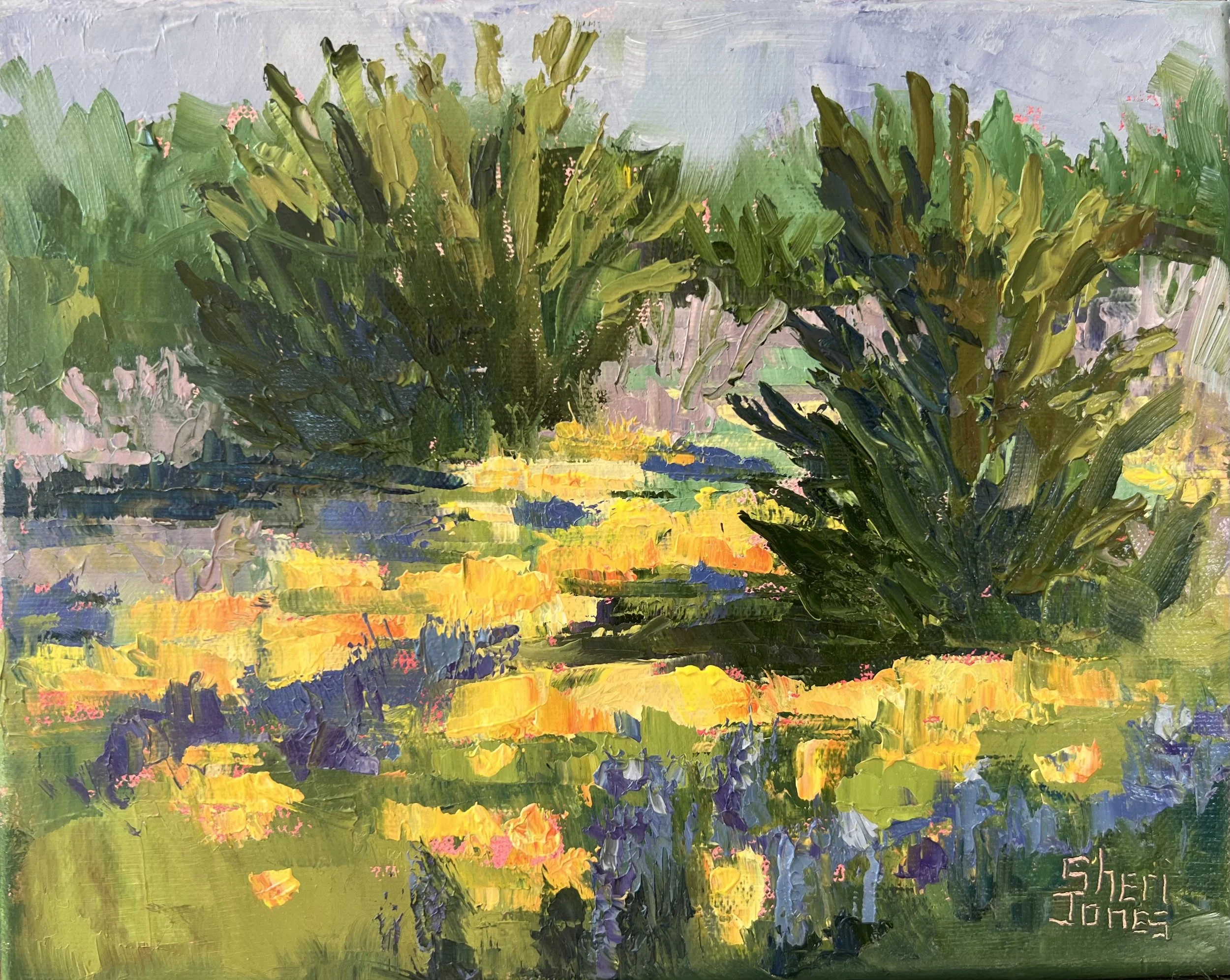 Mellow Yellow 8x10 oil on canvas.jpeg