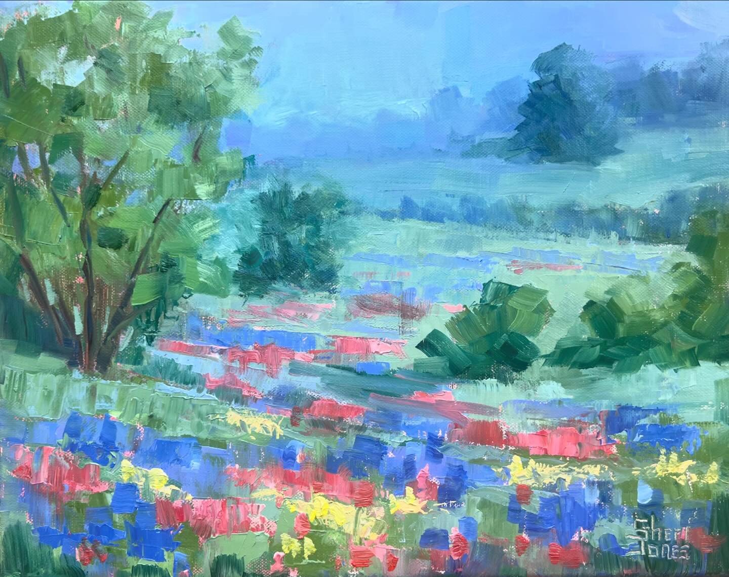 Holiday Park Wildflowers

11x14 oil on canvas

I met up with my artist friends to paint at Holiday Park on Benbrook Lake yesterday. The hills and surrounding landscape are dotted with wildflowers. There are still some blue bonnets with the reds and y