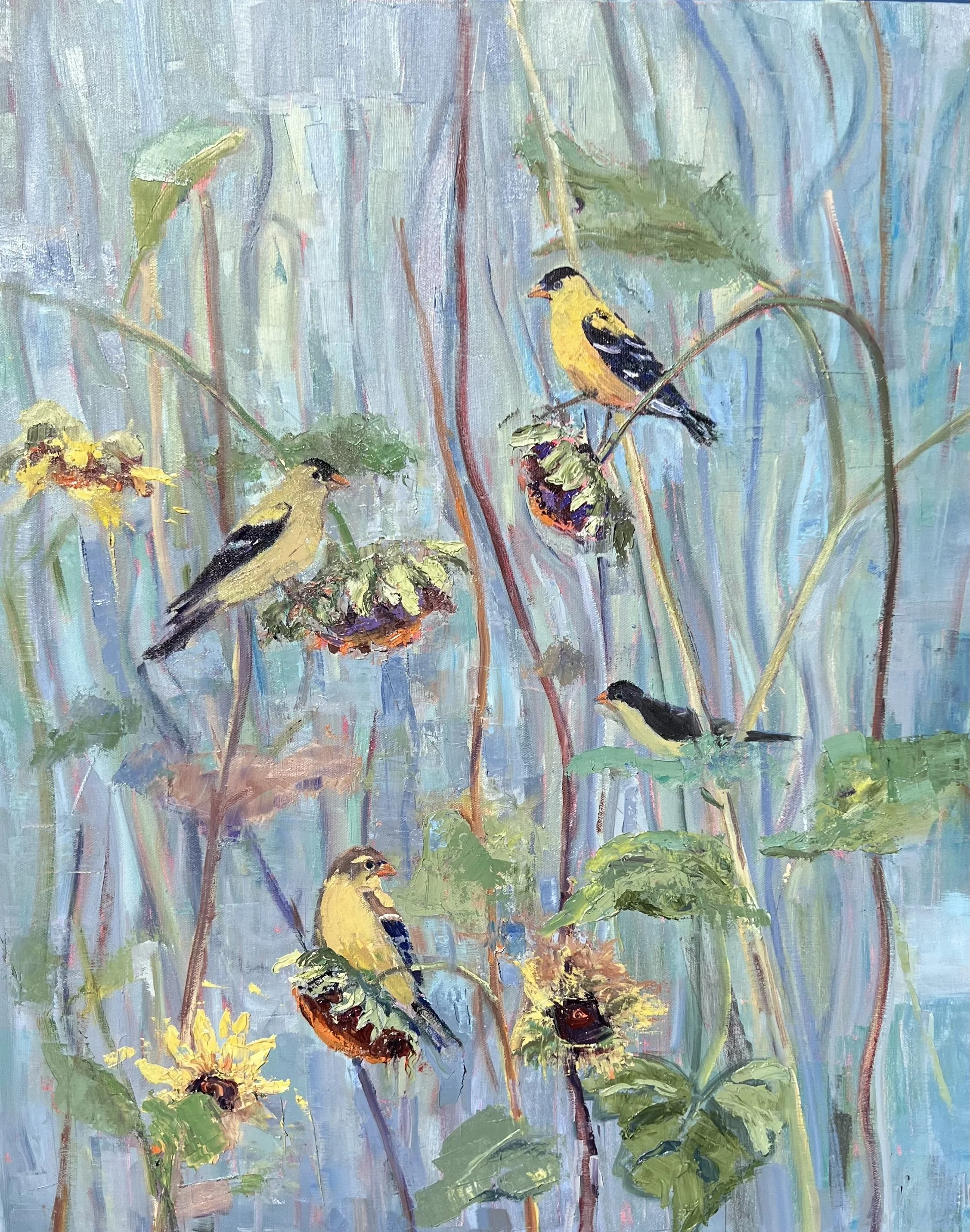 Finch Feasting