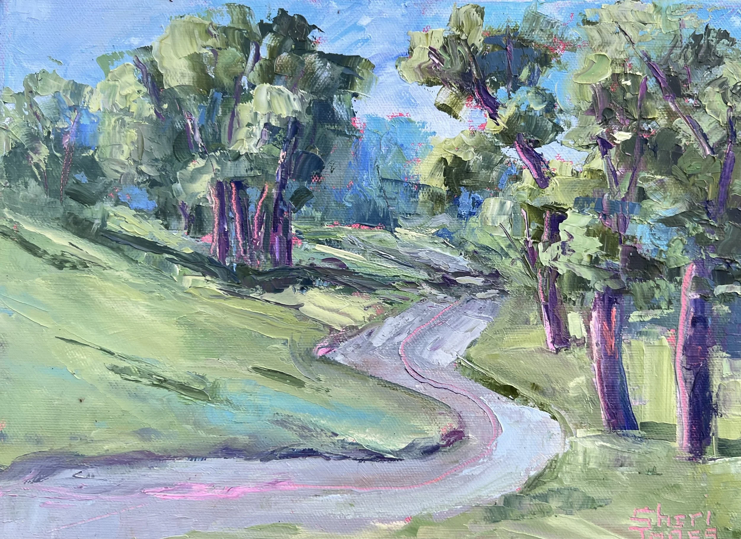 Shanley Park Trail