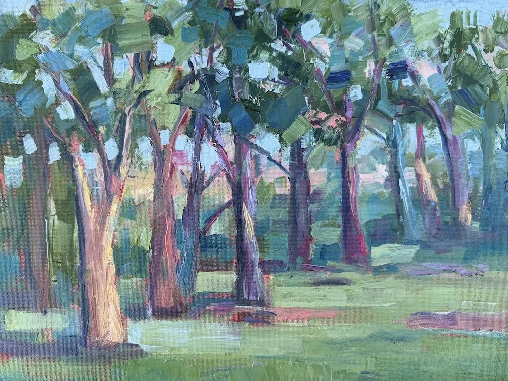 Thru the Pines Trees