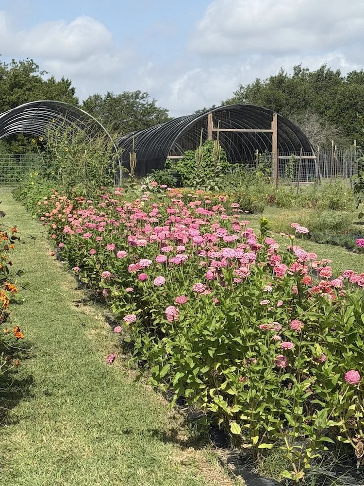 flowerfarm.jpg