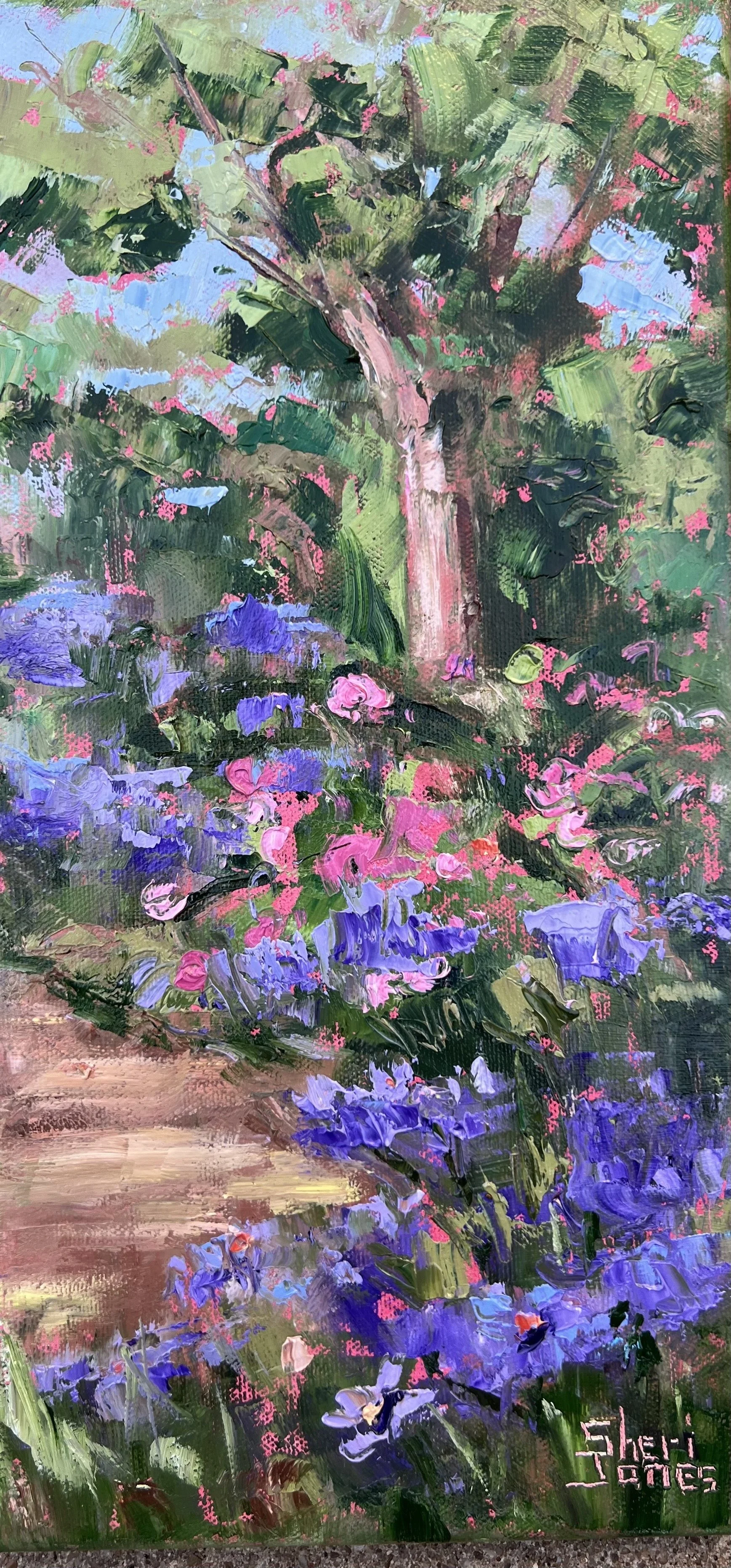 Aster Seasons 14x7 oil on canvas Sheri Jones.jpeg