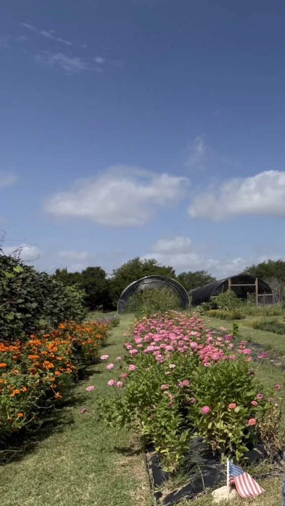 Flower Farm.jpg