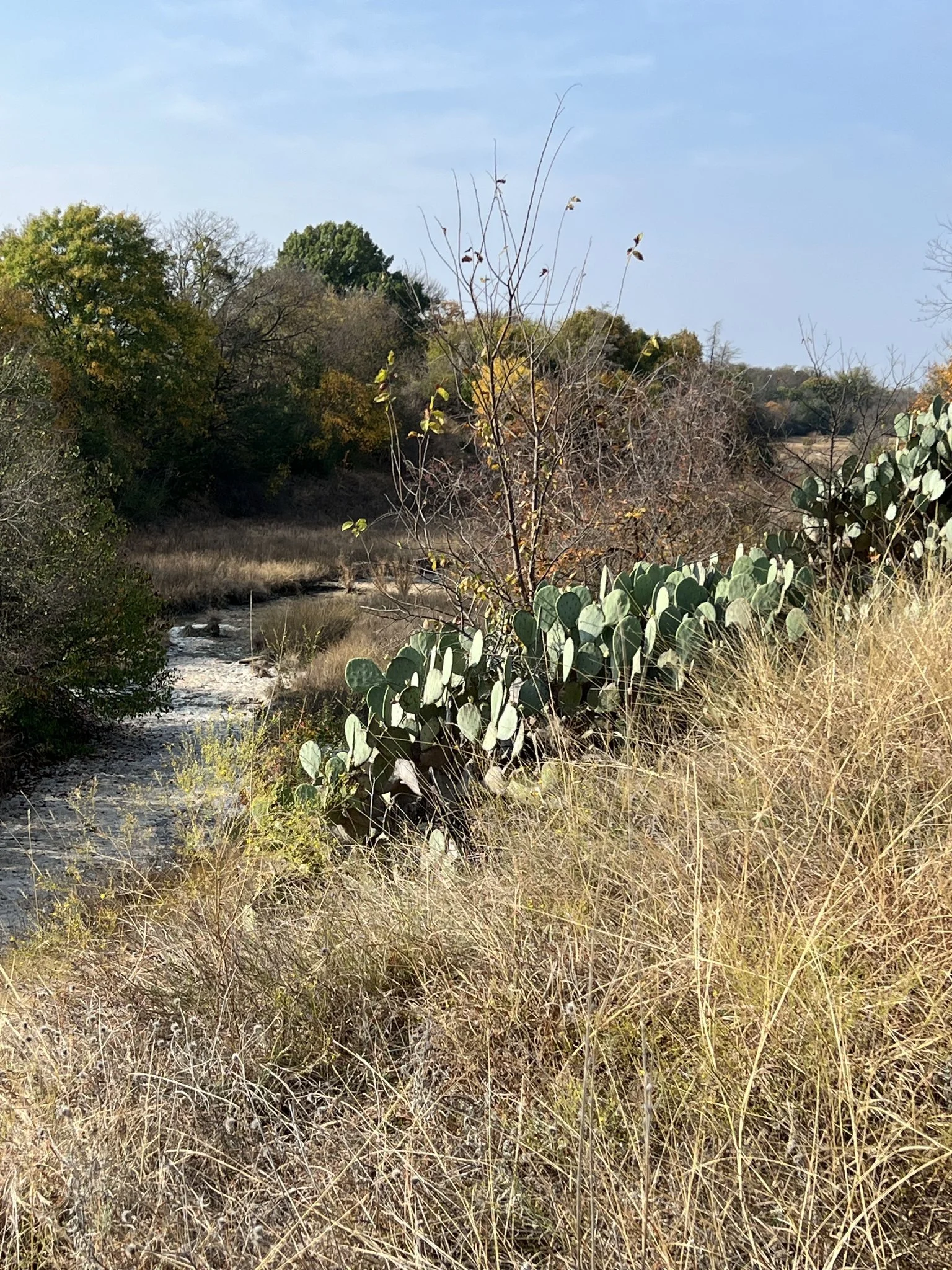 Pecan valley view today.jpeg