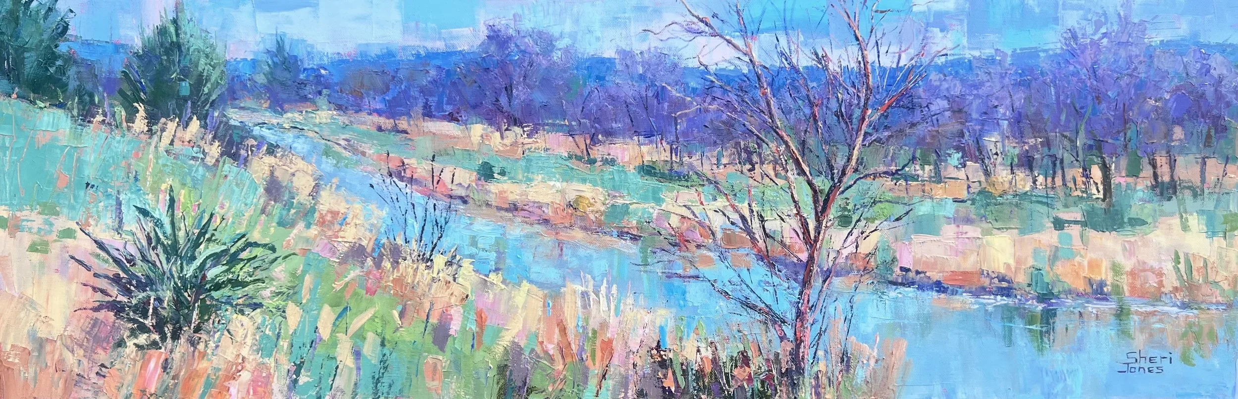 Preservation of the Art-Expansive Brazos River 12x36 Sheri Jones.jpeg