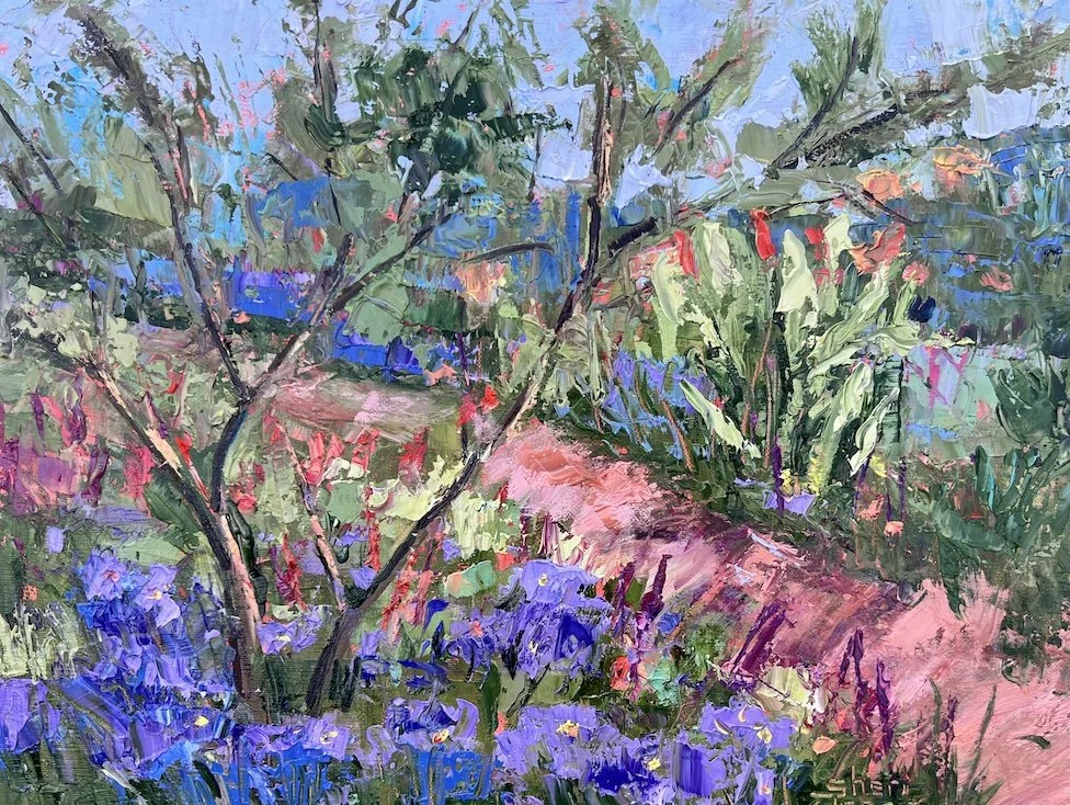Aster Garden 11x14 oil on canvas Sheri Jones.jpeg