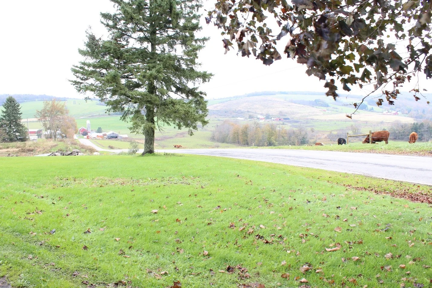Farm view outside the design project location
