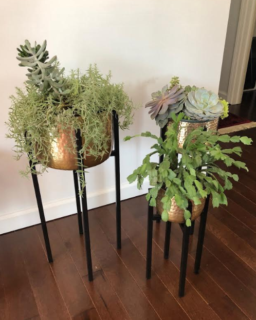 Greenery