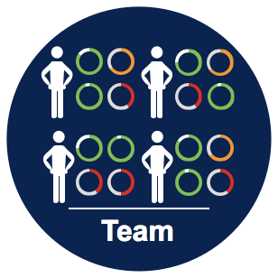 Team Icon.png