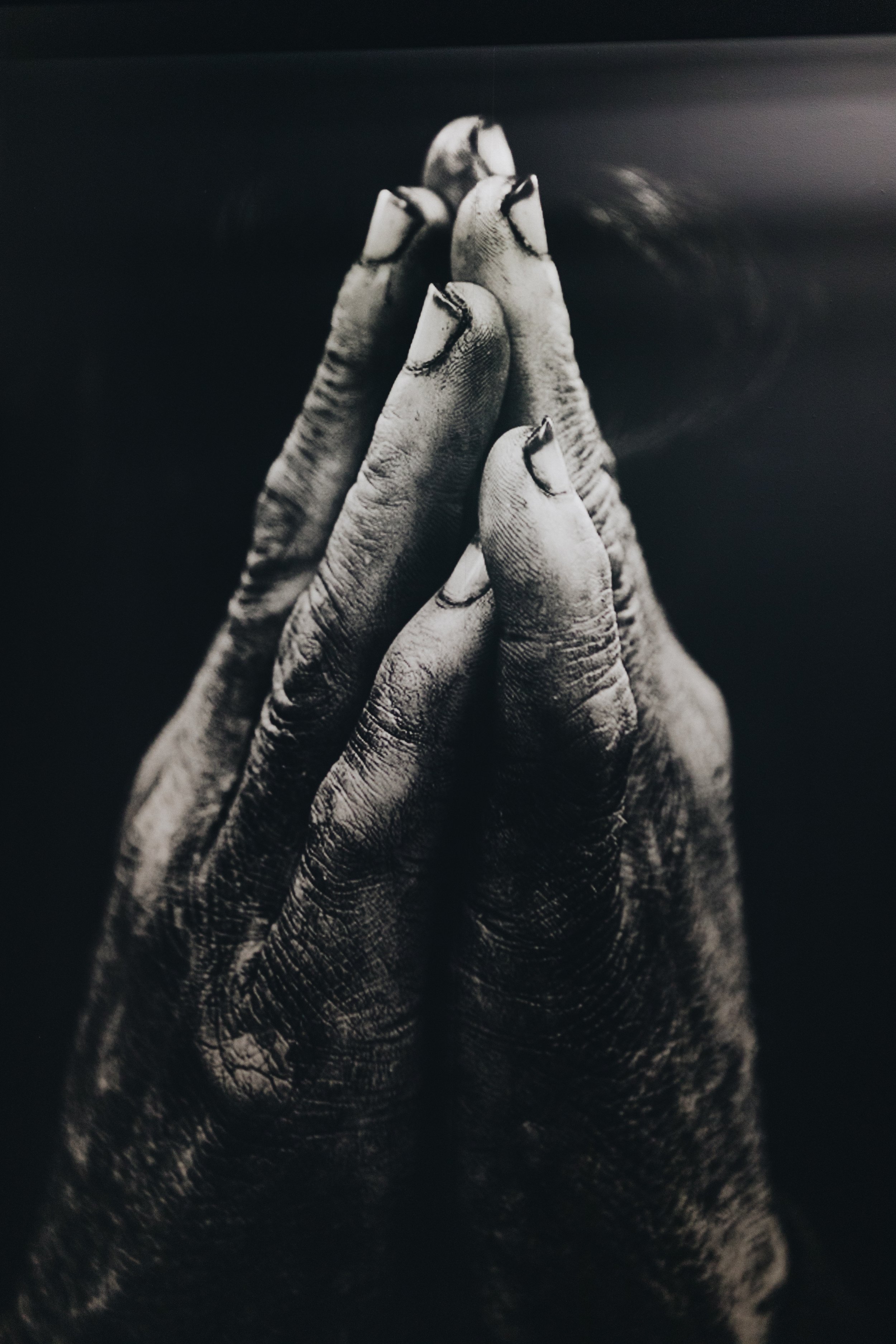 nathan-dumlao-583574-unsplash.jpeg