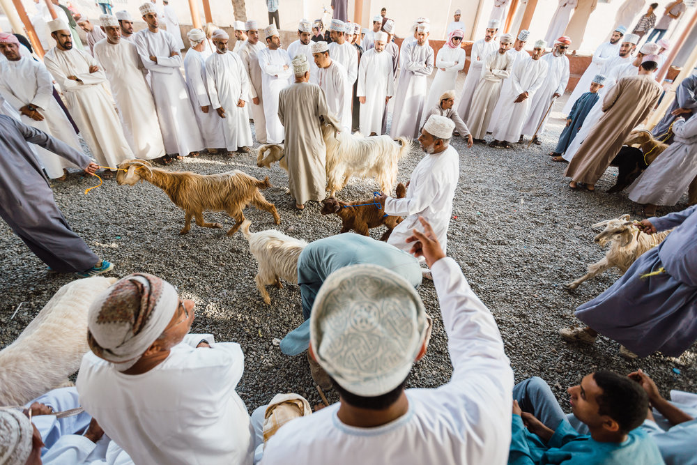  local men yell out offers for goats on auction in the ancient Nizwa market
