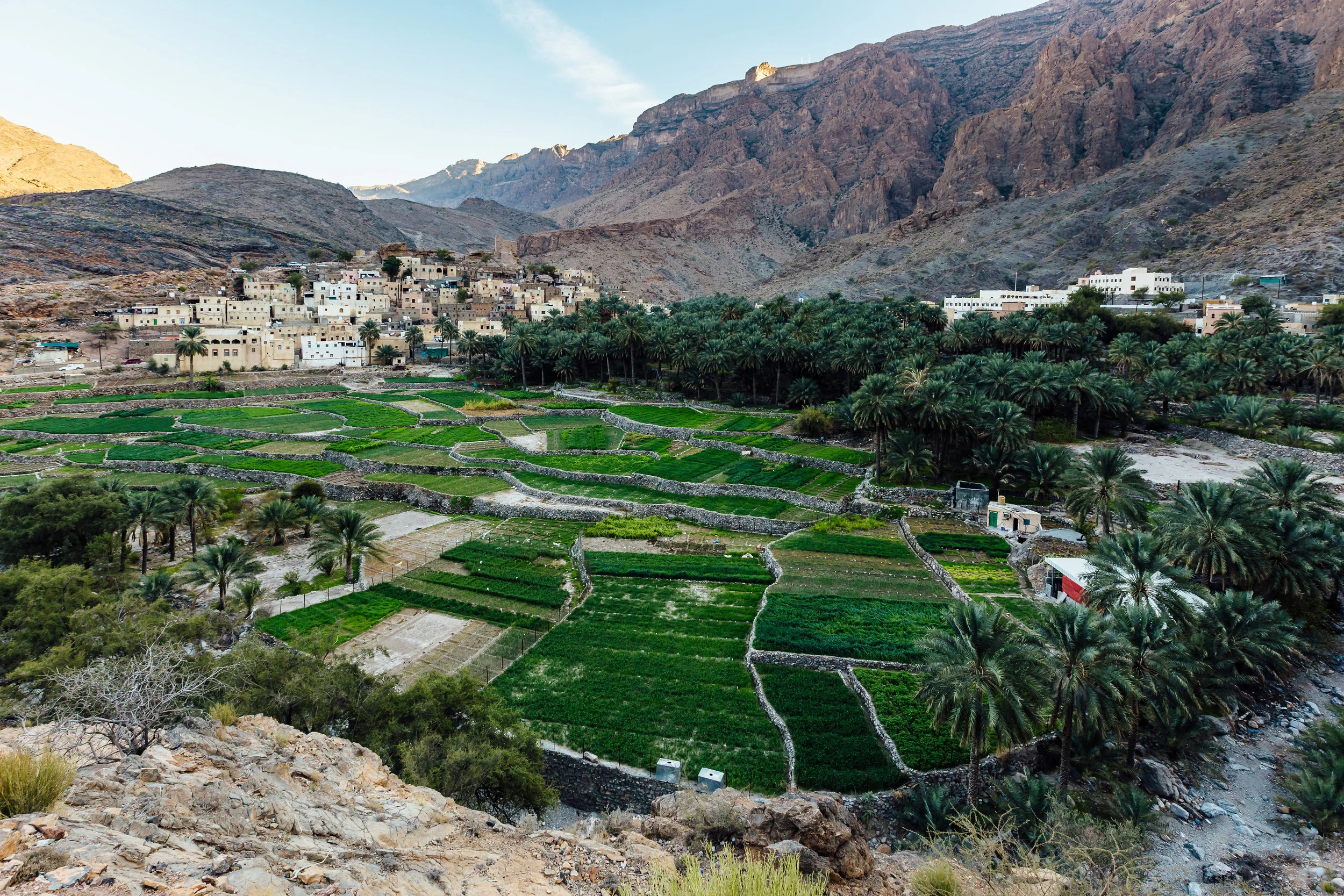 The village of Bilad Sayt sits in the shadow of the Hajar mountains, brimming with crops.