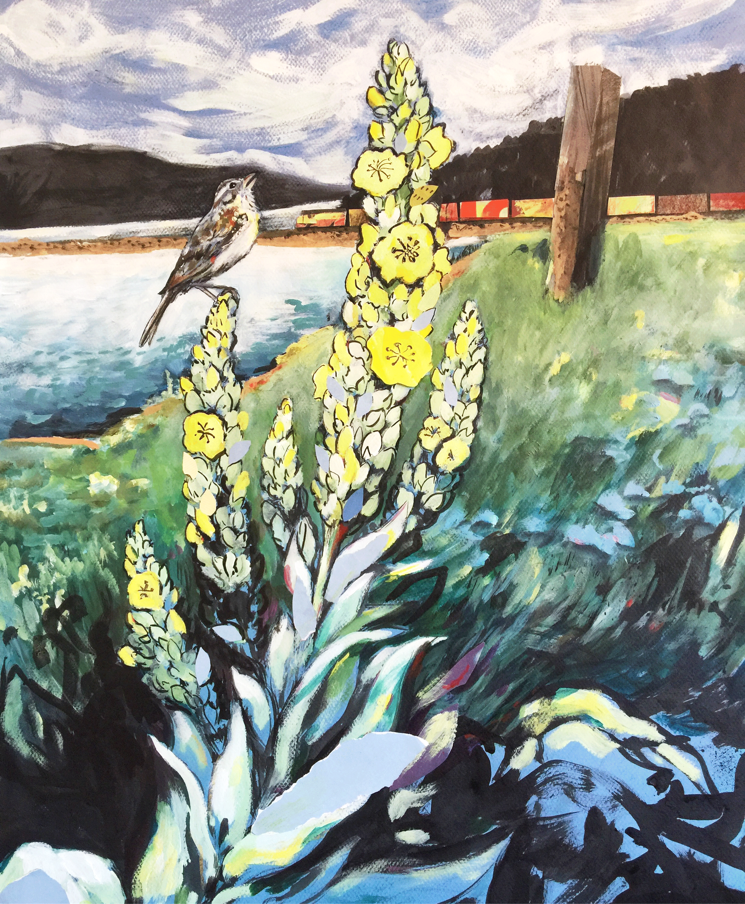 Mullein Song