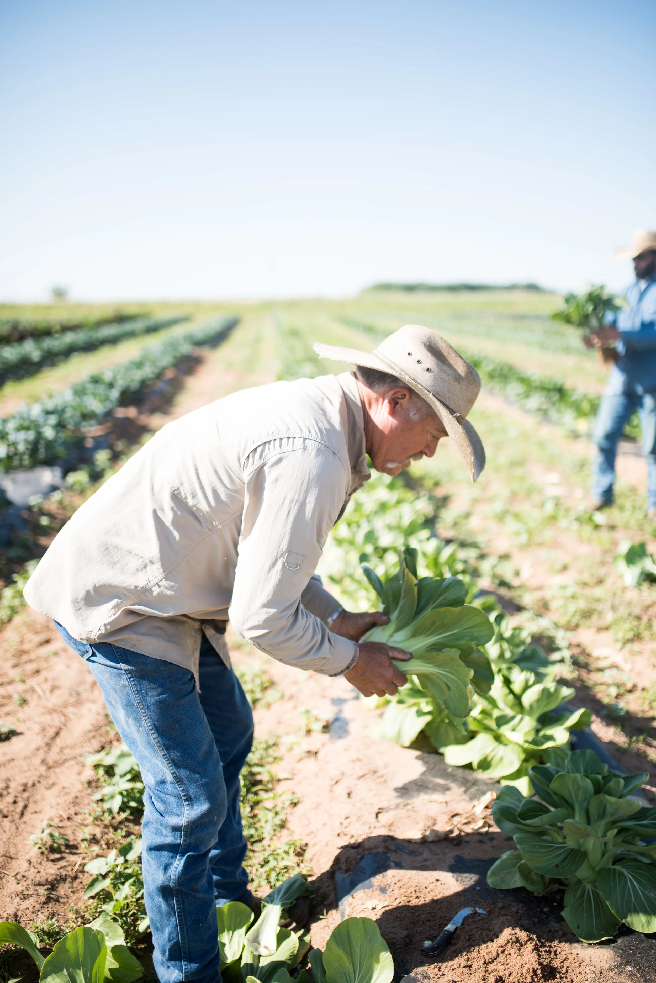 spring farm-32.jpg