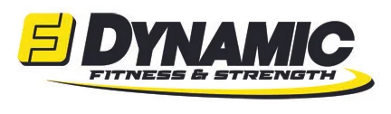 dynamic1.jpg