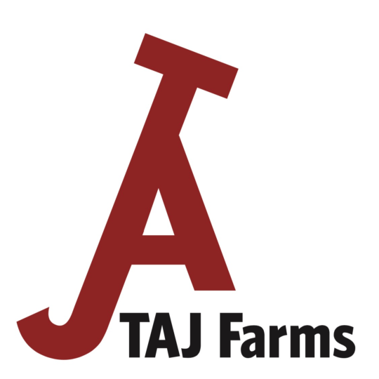 STFT 2019 Sponsors .png