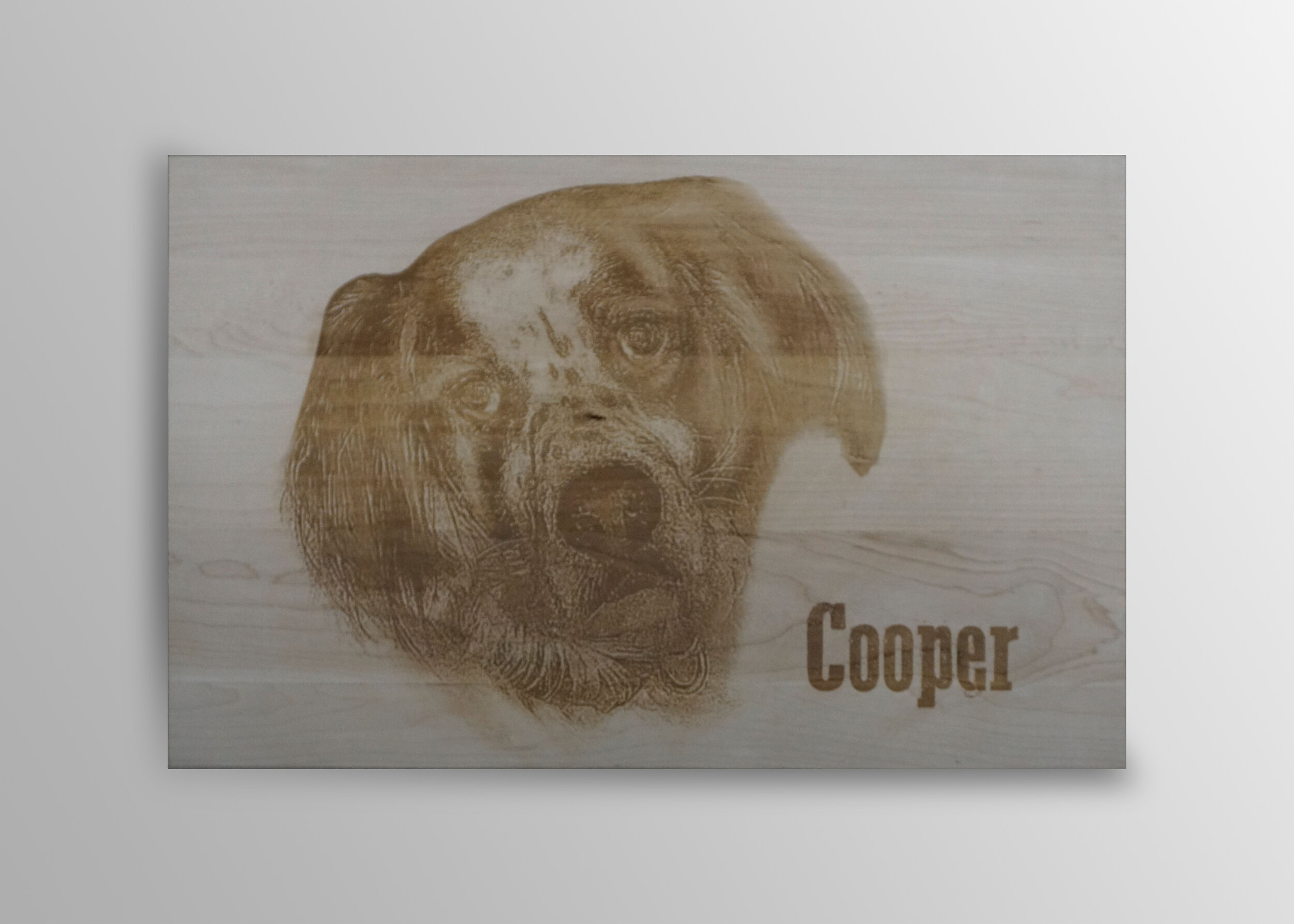 Cooper.jpg