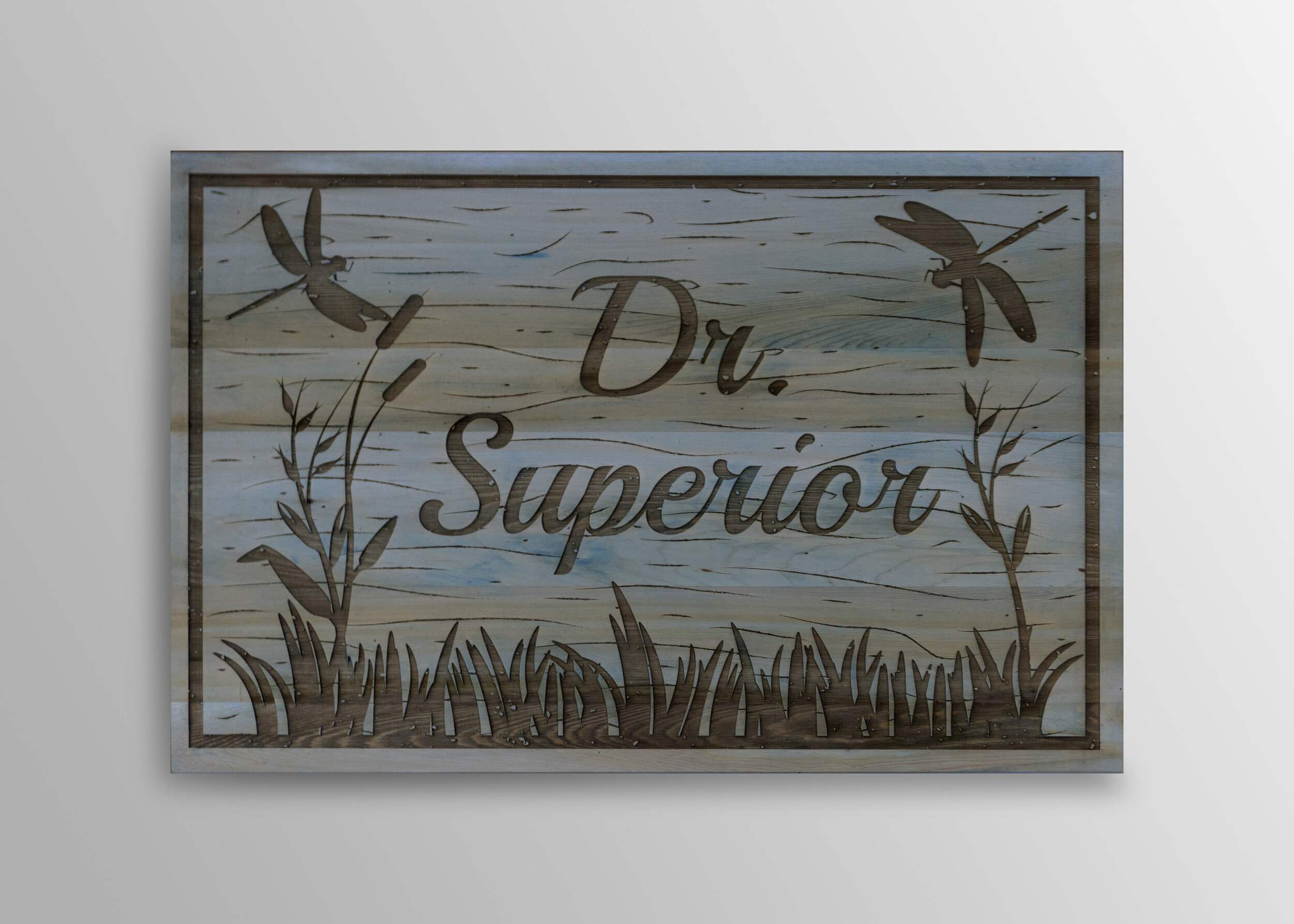 dr superior.jpg